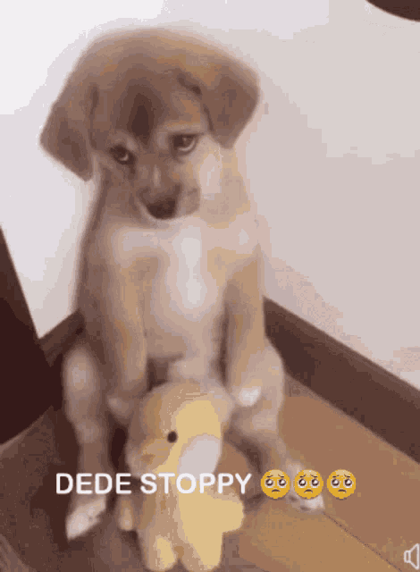 Dedestop Saddog GIF - Dedestop Saddog GIFs