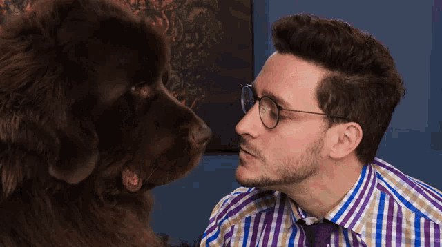 a man wearing glasses and a plaid shirt is looking at a brown dog