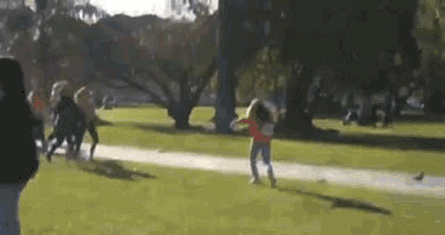 a group of people are playing in a park with trees .