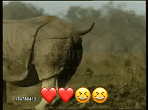 a video of a rhino with two hearts and two smiley faces behind it