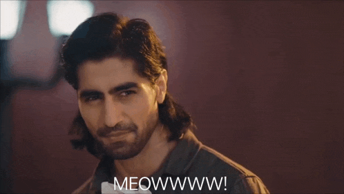 a man with long hair and a beard is saying meowwww