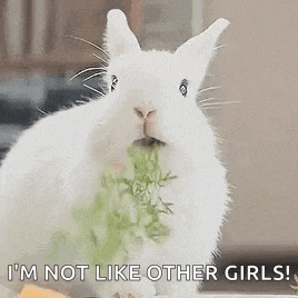 a white rabbit is eating a piece of lettuce and says `` i 'm not like other girls ! ''