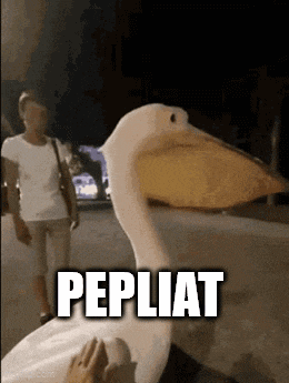 a pelican with a large beak is walking down the street with a woman behind it .