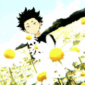 a boy in a black shirt is standing in a field of daisies .