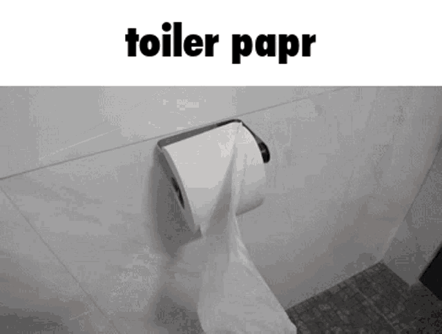 Toiler Papr Toilet Paper GIF