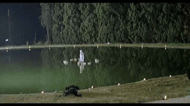 a pond with ducks in it and smoke coming out of it at night