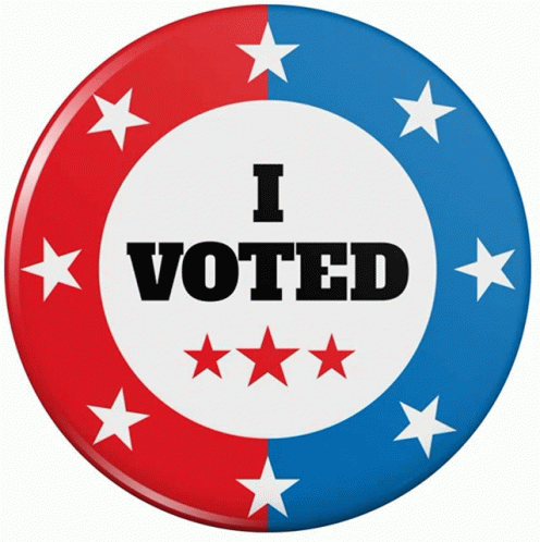 I Voted GIF - I Voted GIFs