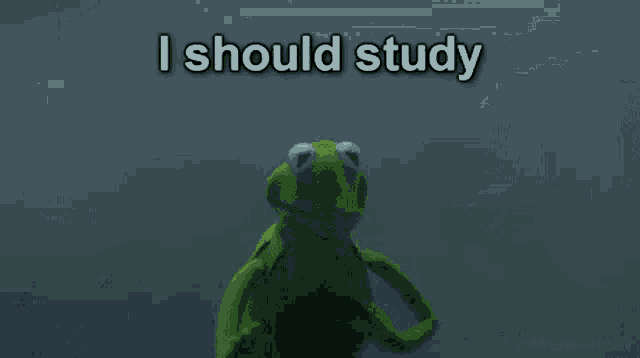 Make Memes GIF - Make Memes I Should Study GIFs