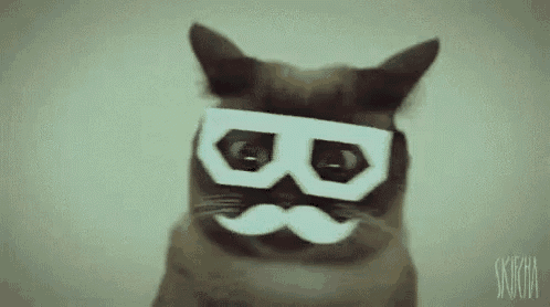 a cat with a mustache and glasses on its face .