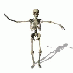 Caveman Skeleton Dance GIF - Caveman Skeleton Dance GIFs