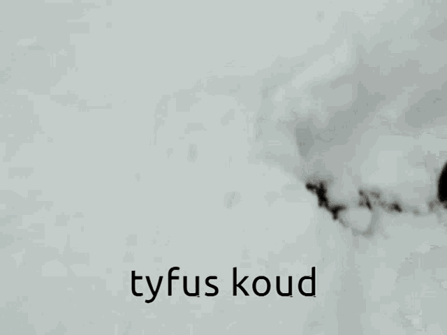 Koud Tyfus GIF - Koud Tyfus Kati GIFs
