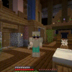a pixelated image of a person in a minecraft video game