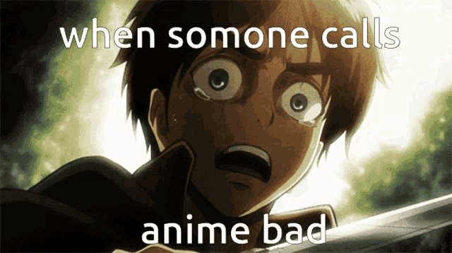 a crying anime character with the words when somone calls anime bad on the bottom
