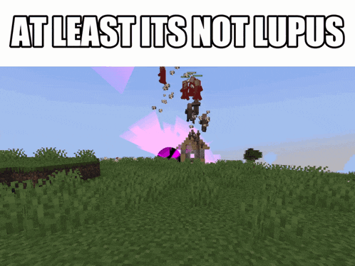 a screenshot of a video game with the words at least it 's not lupus above it