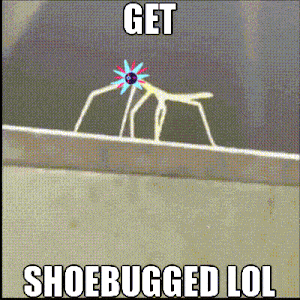 a cartoon drawing of a spider with the words get shoebagged lol on the bottom