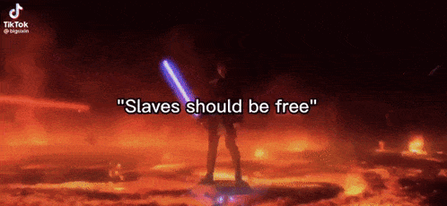 Slaves Should Be Free Star Wars GIF