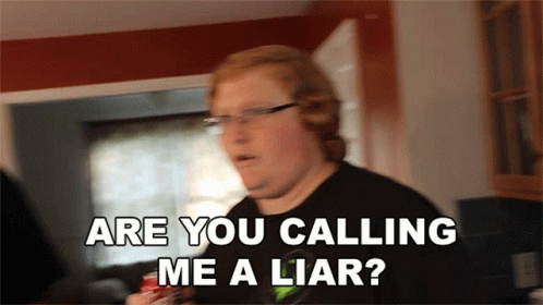 Are You Calling Me A Liar Swift GIF - Are You Calling Me A Liar Swift Mcjuggernuggets GIFs