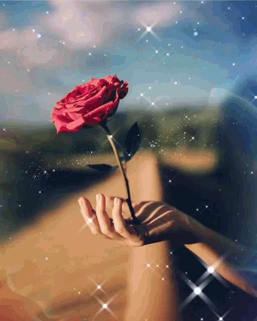 Rose Sparkle GIF - Rose Sparkle Flower GIFs