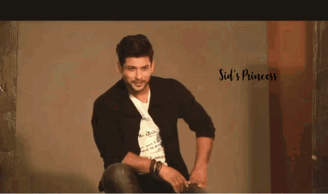 sid 's princess is written on the bottom of the screen