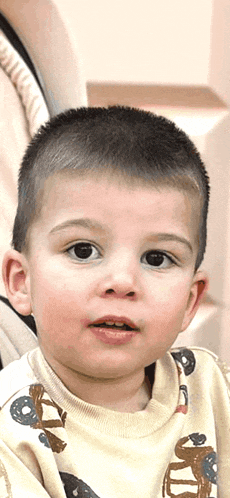 a young boy wearing a sweater with cars on it looks at the camera
