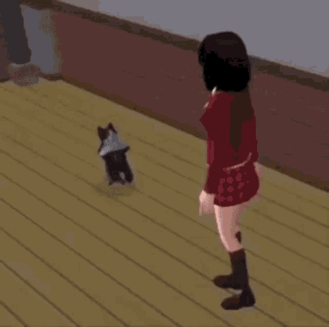 Cat Breakdancing GIF - Cat Breakdancing Dance GIFs
