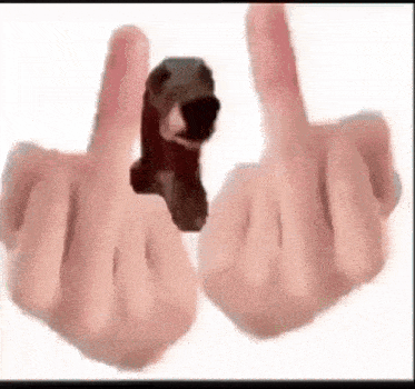 a person is holding a stuffed animal in their hand and giving a middle finger .