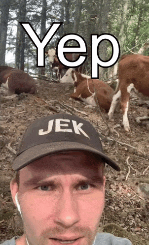 a man wearing a jek hat is standing in front of some cows