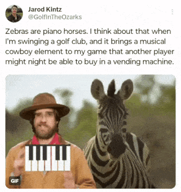 a man playing a piano next to a zebra with a cowboy element
