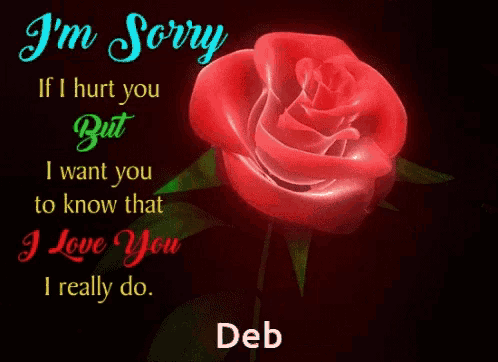 a red rose with a message that says i 'm sorry