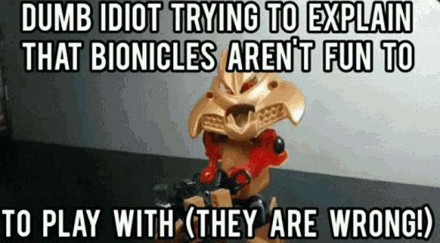 a dumb idiot trying to explain that bionicles aren 't fun to play with they are wrong