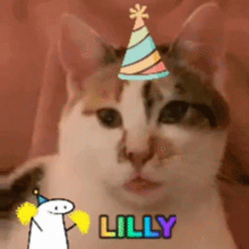 Lilly Cat GIF - Lilly Cat Kat GIFs