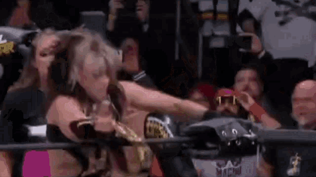 a woman is being punched in the face by a wrestler in a wrestling ring .