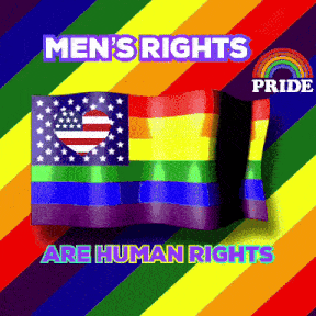 a rainbow flag with the words men 's rights are human rights on it