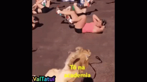 Academia Valtatui Dog GIF - Academia Valtatui Dog Cute GIFs