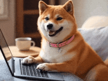 a dog wearing a pink collar is using a laptop computer