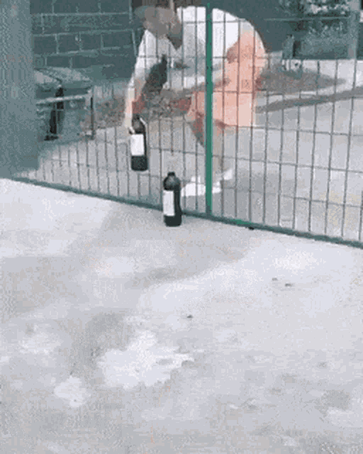 Wine Fence GIF - Wine Fence Kid GIFs