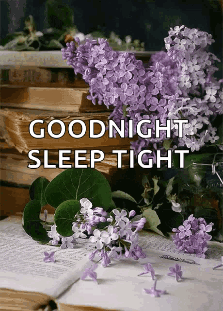 Goodnight Nite GIF - Goodnight Nite Sleep Tight GIFs