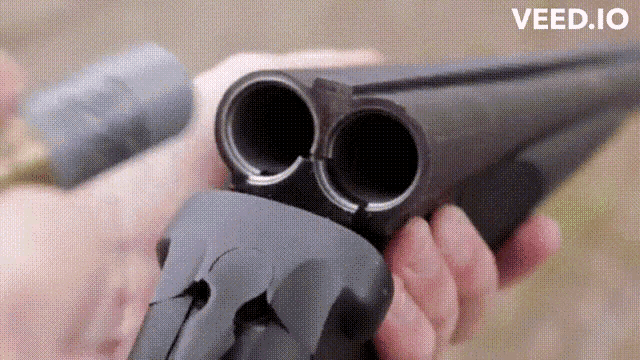 Diplomacy GIF