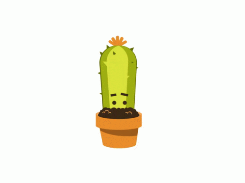 Cactus Sneaky GIF - Cactus Sneaky Shy GIFs