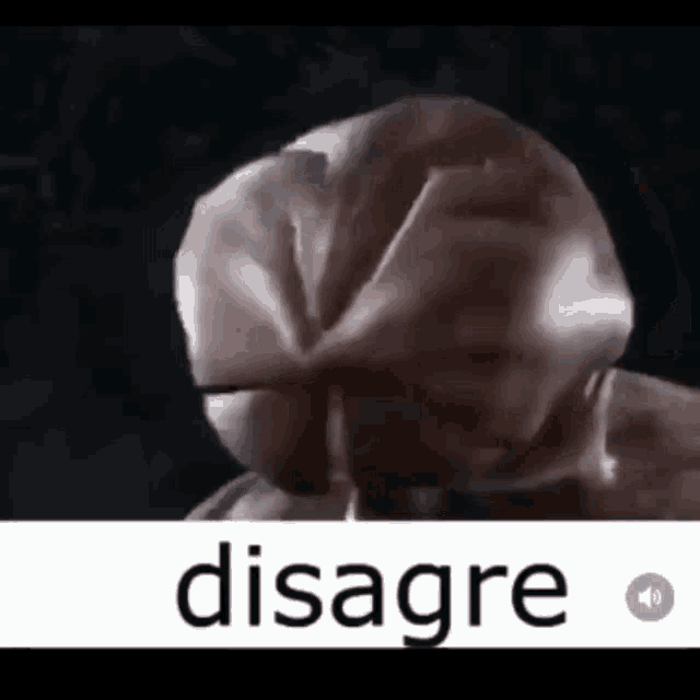 a close up of a person 's head with the word disagree written below it .