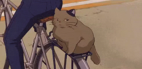 Cat Don'T Care GIF - Shade Cat Dont Care Cat Gives No Fucks GIFs