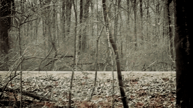 Car Crashed Accident GIF - Car Crashed Accident Road Accident GIFs