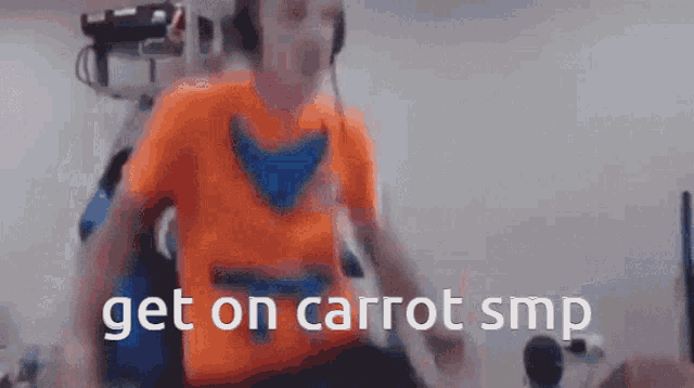 Carrotsmp GIF - Carrotsmp GIFs
