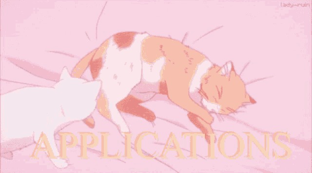 a couple of cats laying on a bed with the words " applications " in the corner