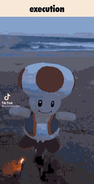 a stuffed toad is standing on a beach next to a flame .