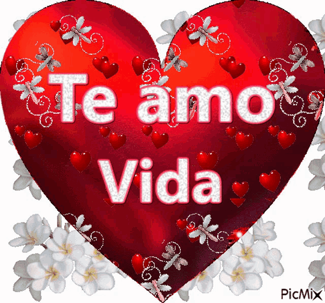 a red heart with the words " te amo vida " on it