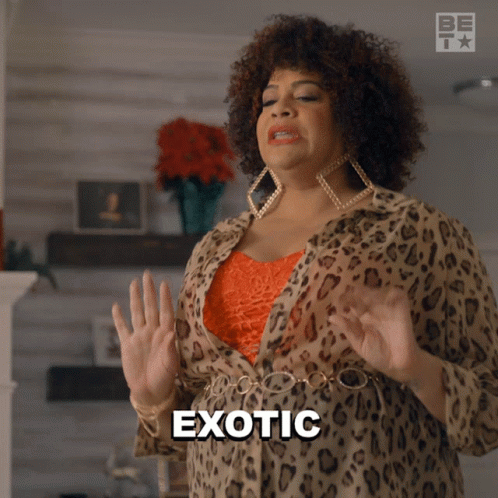 Exotic Beverly GIF - Exotic Beverly The Jenkins Family Christmas GIFs