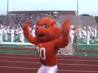 a mascot with the number 10 on his shirt