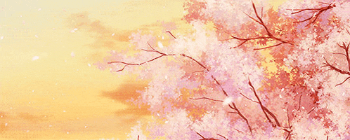 a painting of a cherry blossom tree with pink flowers on a yellow background .
