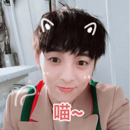 Wu Jiacheng Cute Cat GIF - Wu Jiacheng Cute Cat Smiles GIFs